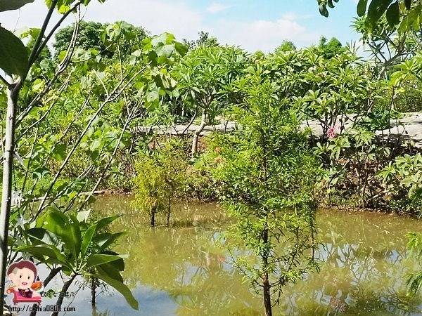 桃園中壢景點-台灣地景花園-免費入園超大場地，戲水池遊樂設施隨你玩，暑假放生小孩新去處 @民宿女王芽月-美食.旅遊.全台趴趴走