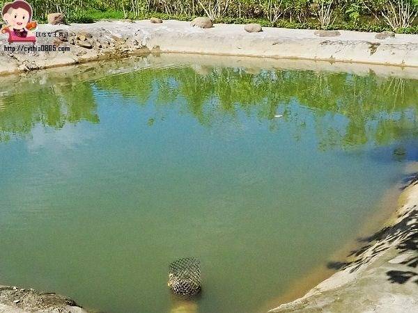 桃園中壢景點-台灣地景花園-免費入園超大場地，戲水池遊樂設施隨你玩，暑假放生小孩新去處 @民宿女王芽月-美食.旅遊.全台趴趴走