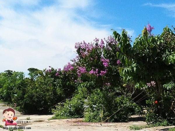桃園中壢景點-台灣地景花園-免費入園超大場地，戲水池遊樂設施隨你玩，暑假放生小孩新去處 @民宿女王芽月-美食.旅遊.全台趴趴走