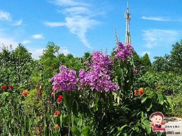桃園中壢景點-台灣地景花園-免費入園超大場地，戲水池遊樂設施隨你玩，暑假放生小孩新去處 @民宿女王芽月-美食.旅遊.全台趴趴走