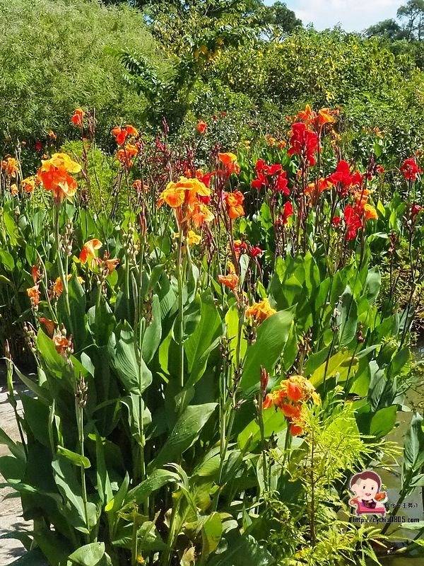 桃園中壢景點-台灣地景花園-免費入園超大場地，戲水池遊樂設施隨你玩，暑假放生小孩新去處 @民宿女王芽月-美食.旅遊.全台趴趴走