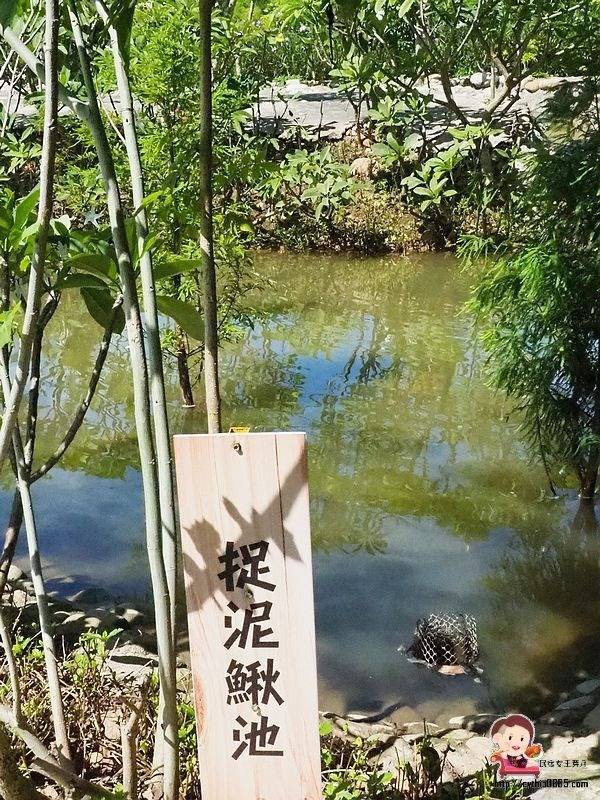 桃園中壢景點-台灣地景花園-免費入園超大場地，戲水池遊樂設施隨你玩，暑假放生小孩新去處 @民宿女王芽月-美食.旅遊.全台趴趴走