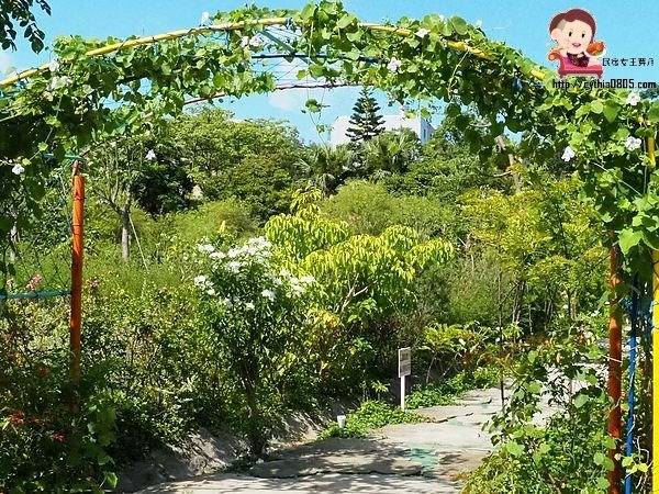 桃園中壢景點-台灣地景花園-免費入園超大場地，戲水池遊樂設施隨你玩，暑假放生小孩新去處 @民宿女王芽月-美食.旅遊.全台趴趴走