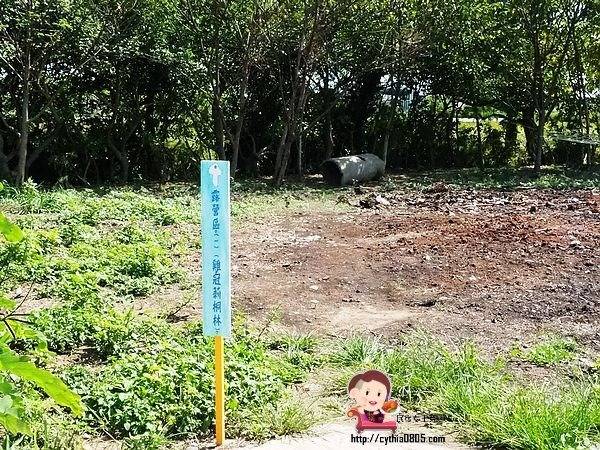 桃園中壢景點-台灣地景花園-免費入園超大場地，戲水池遊樂設施隨你玩，暑假放生小孩新去處 @民宿女王芽月-美食.旅遊.全台趴趴走