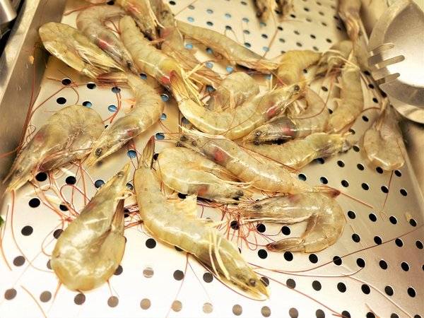 好奇太郎 創意自助鐵板燒:【板橋燒烤】好奇太郎 358元鐵板燒任你吃到飽.新北燒烤餐廳推薦