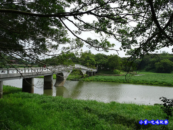 新竹-青草湖 (10).jpg