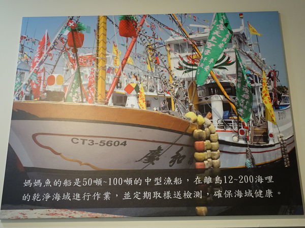 媽媽魚安心超市-明湖店 (11).JPG