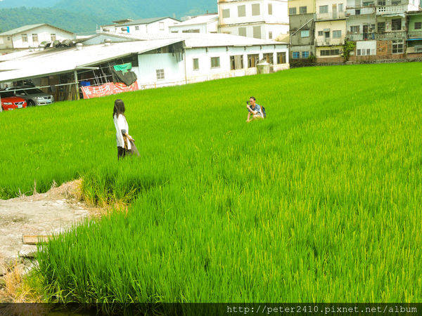 田園餐廳 (1).jpg