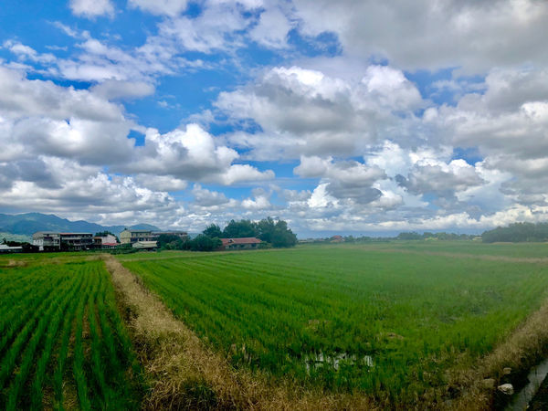 圓圓家愛吃貨-《宜蘭美食》三星福美田園餐廳，卜肉、糕渣特色美食好好吃，厲害的土雞肉也絕不能錯過