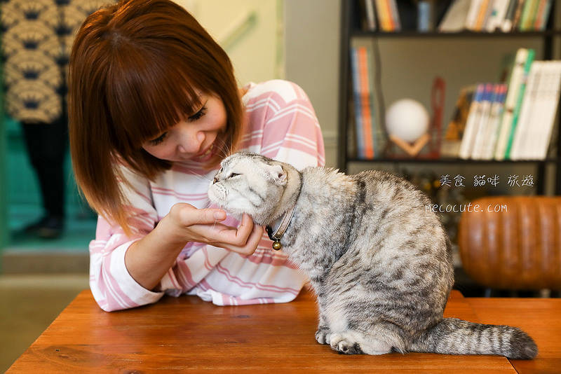 @陳小可的吃喝玩樂 @陳小可的吃喝玩樂