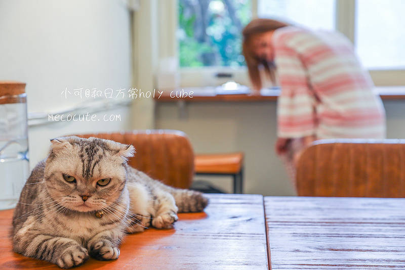 @陳小可的吃喝玩樂 @陳小可的吃喝玩樂