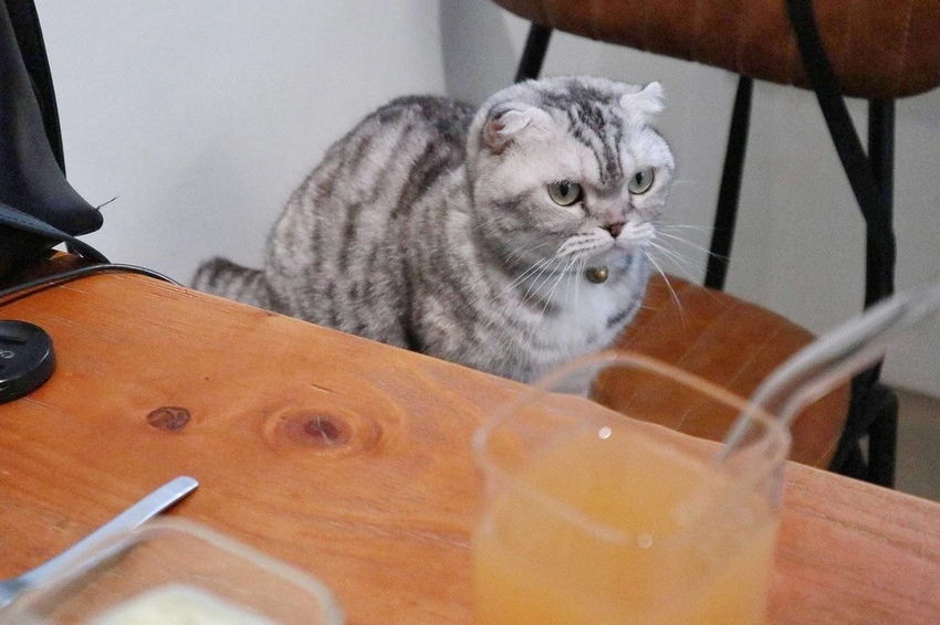 和日方常holy cube