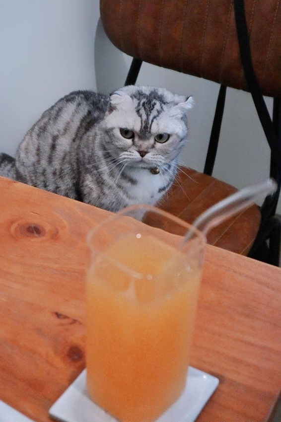 和日方常holy cube