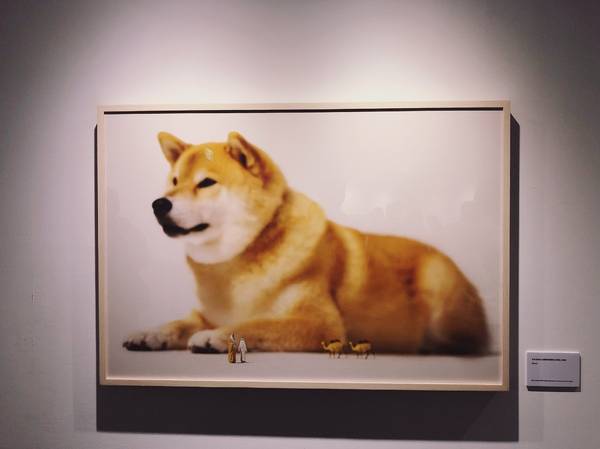 微型展-田中達也的奇想世界：微型展-田中達也的奇想世界6/22-9/9在台中世貿： 9大主題專區（39件實體作品+151件攝影作品） 台灣's最後一站in台中 快來探索田中大師的巧思!!!