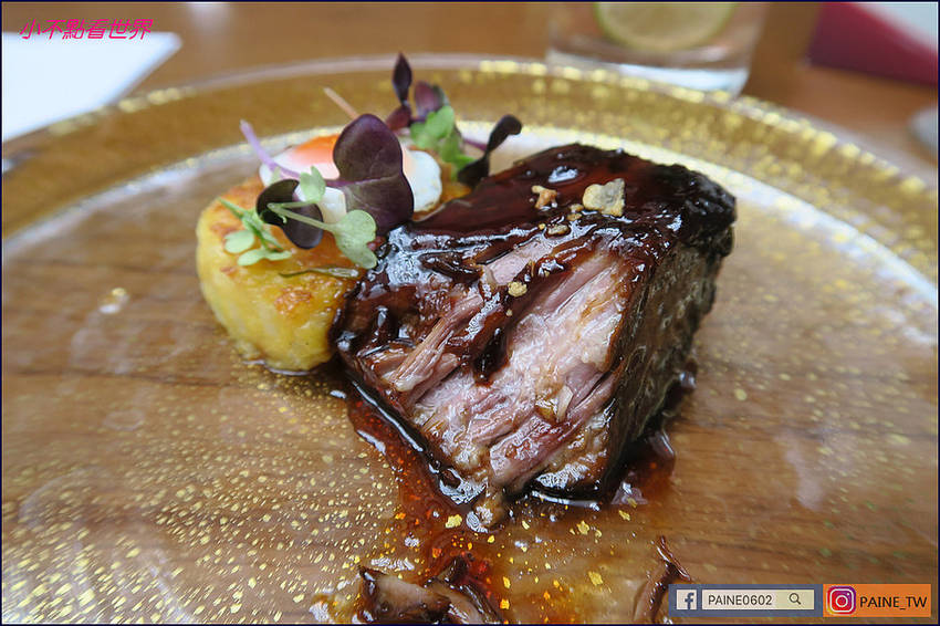 美獅美高美 雅吉