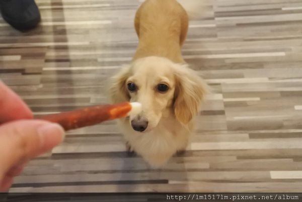 MUNI BRUNCH (52).jpg