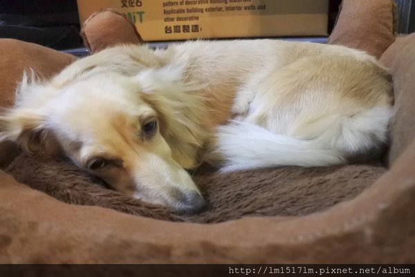 MUNI BRUNCH (50).jpg