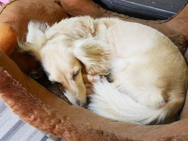 Muni Brunch：Muni Brunch-台中車站附近早午餐  店內裝潢超可愛  餐點精緻好吃又實惠  再訪率高到爆棚