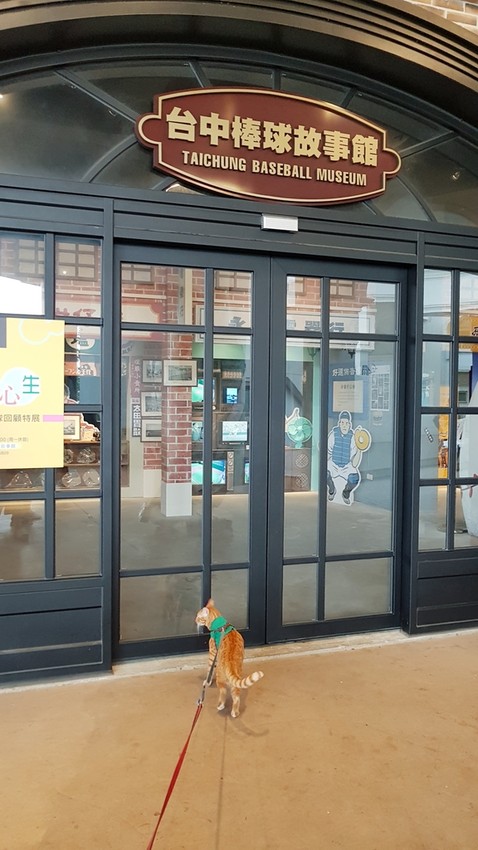 20180826_122539.jpg - 【台中】旅行貓日記免費親子景點。洲際棒球場散散步免費沙坑適合小小孩