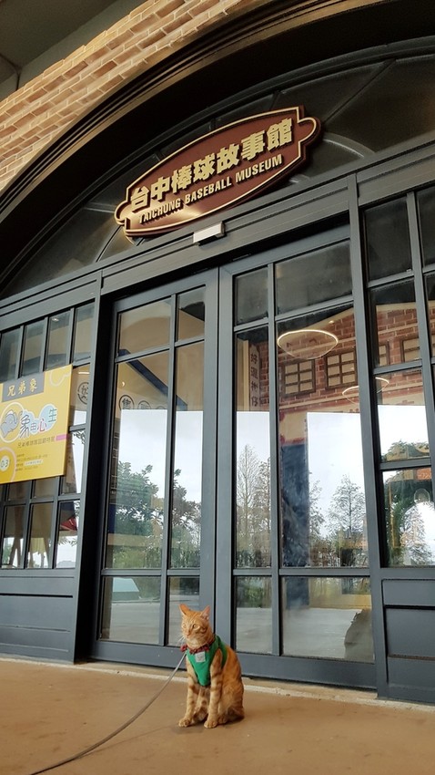 20180826_122752.jpg - 【台中】旅行貓日記免費親子景點。洲際棒球場散散步免費沙坑適合小小孩