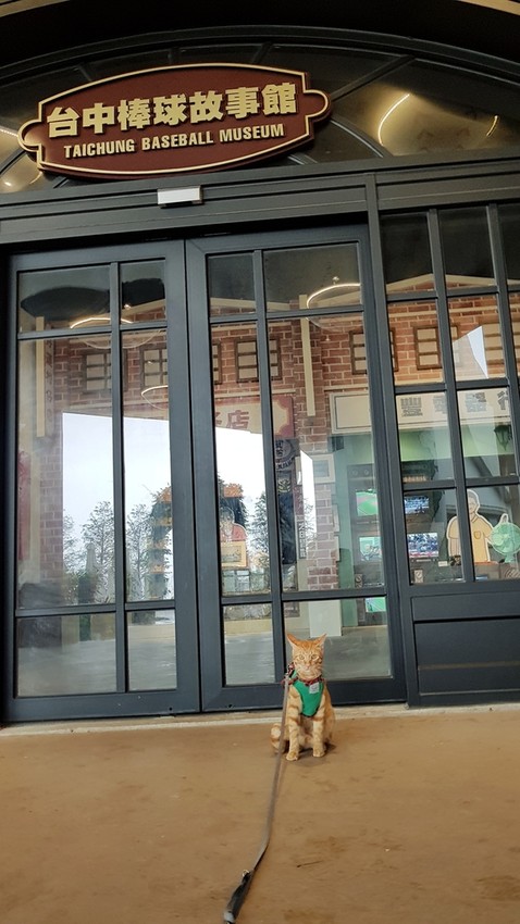 20180826_122643.jpg - 【台中】旅行貓日記免費親子景點。洲際棒球場散散步免費沙坑適合小小孩