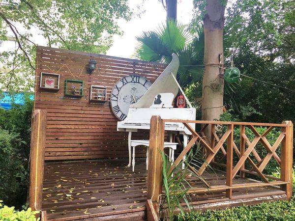 IMG_7003.JPG IMG_7003.JPG