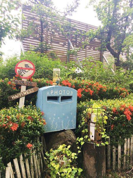 IMG_7005.JPG IMG_7005.JPG