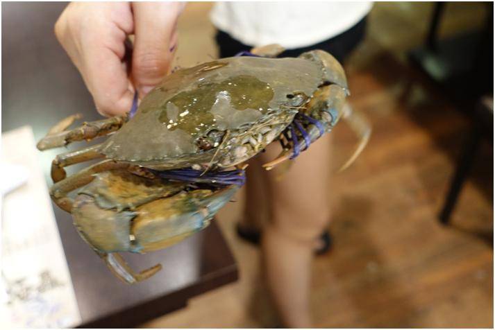 中和區火鍋----海鮮滿滿的極鱻涮涮屋