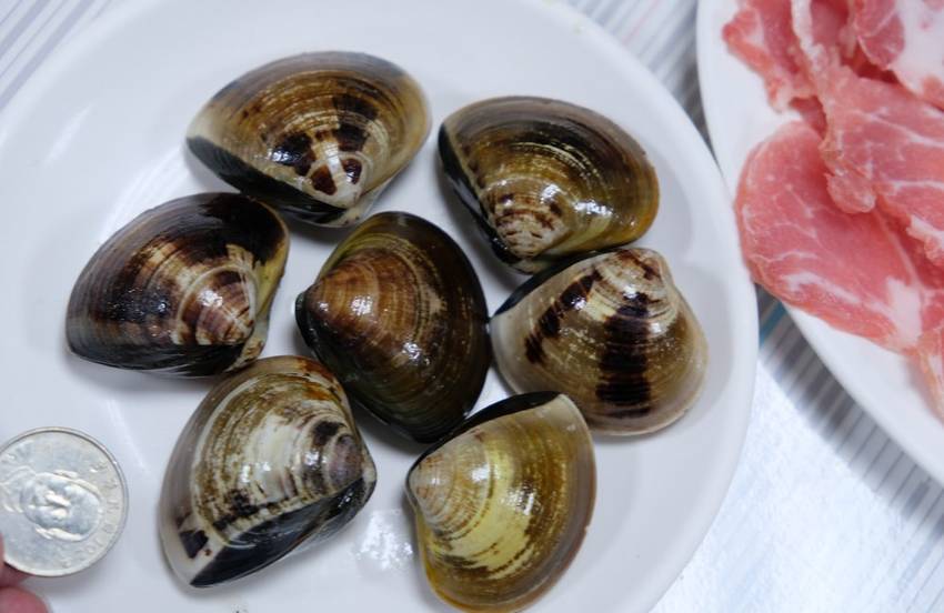 [台南]中西區永吉豬肉爐牛肉爐 蔬果湯頭肥豬蝦肉質肥厚有彈性好驚艷