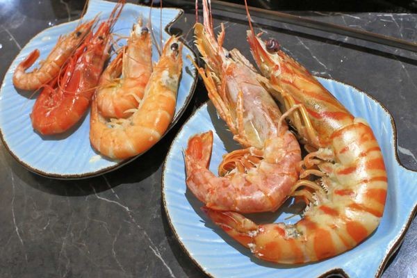 【中和美食】八海食潮當代鍋物-８種不同品種蝦子堆成一座小山的爆誇張美食