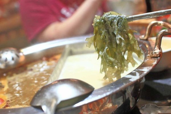 【中和美食】八海食潮當代鍋物-８種不同品種蝦子堆成一座小山的爆誇張美食