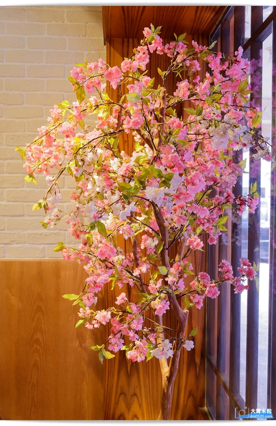 大胃米粒(中壢拉麵推薦)免費加麵兩次,山禾堂拉麵中壢店,大份量豚骨叉燒拉麵,大阪燒DIY好吃又好玩!中壢日式料理推薦,中壢藝術館美食推薦, - 大胃米粒 DAVID & MILLY