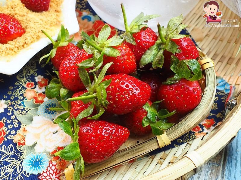 1.8公斤,三台斤,中壢火車站美食,中壢美食,大份量,嫩雞拉麵,東京牛奶起司,樹幹拉麵,社教館,蒲島太郎 @民宿女王芽月-美食.旅遊.全台趴趴走