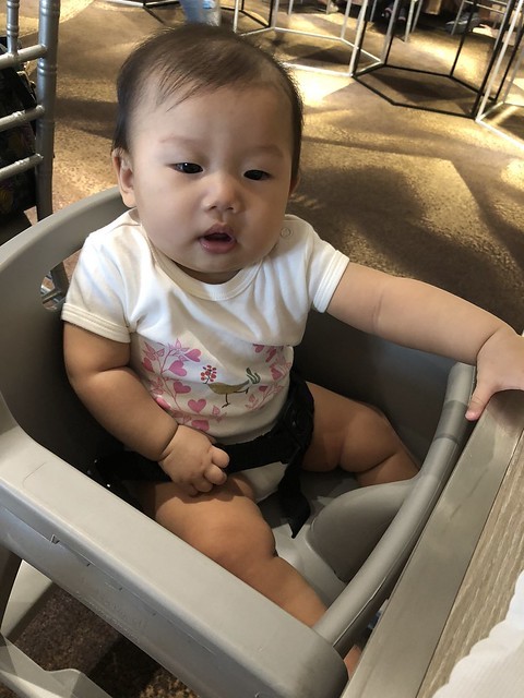 20180923_075857-2699178