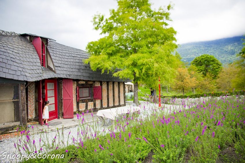【吃喝．花蓮】壽豐景點／Mr.Sam山姆先生咖啡館～最夢幻的童話屋咖啡館，彷復進入魔戒哈比人居住的夏爾村