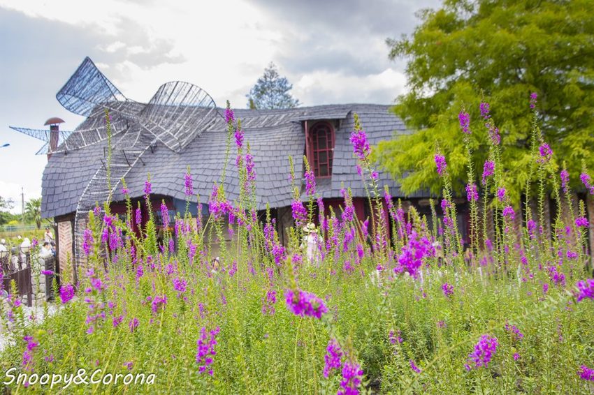 【吃喝．花蓮】壽豐景點／Mr.Sam山姆先生咖啡館～最夢幻的童話屋咖啡館，彷復進入魔戒哈比人居住的夏爾村