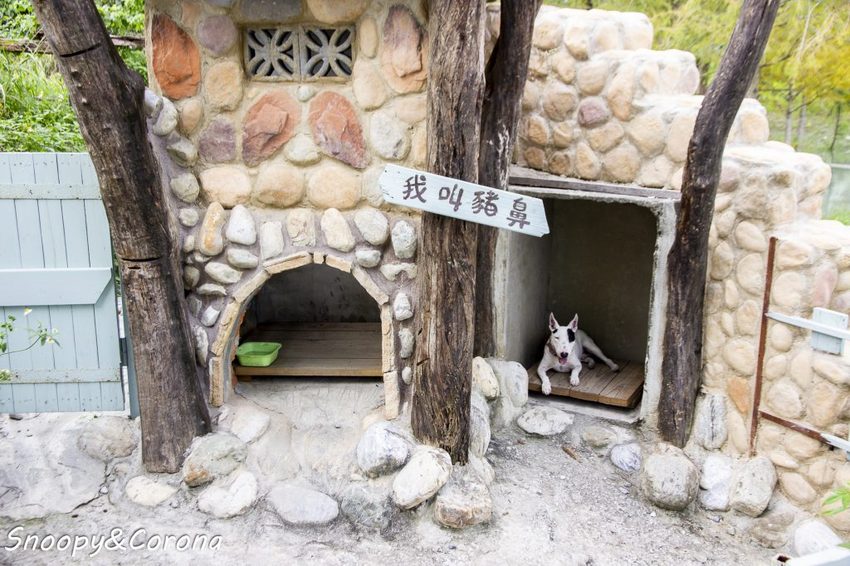 【吃喝．花蓮】壽豐景點／Mr.Sam山姆先生咖啡館～最夢幻的童話屋咖啡館，彷復進入魔戒哈比人居住的夏爾村