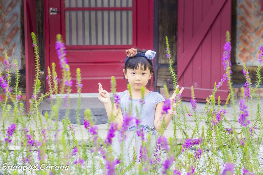 【吃喝．花蓮】壽豐景點／Mr.Sam山姆先生咖啡館～最夢幻的童話屋咖啡館，彷復進入魔戒哈比人居住的夏爾村