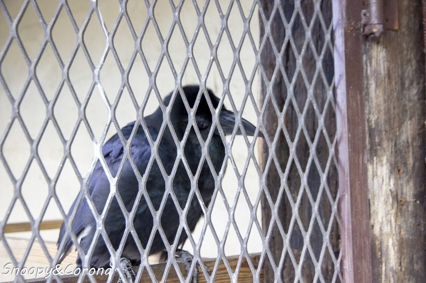 【吃喝．花蓮】壽豐景點／Mr.Sam山姆先生咖啡館～最夢幻的童話屋咖啡館，彷復進入魔戒哈比人居住的夏爾村