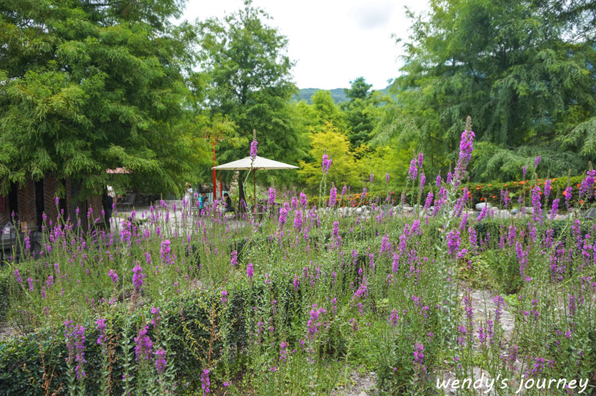 花蓮壽豐｜Mr. Sam 山姆先生咖啡館，彷彿進入霍爾移動城堡般的夢幻