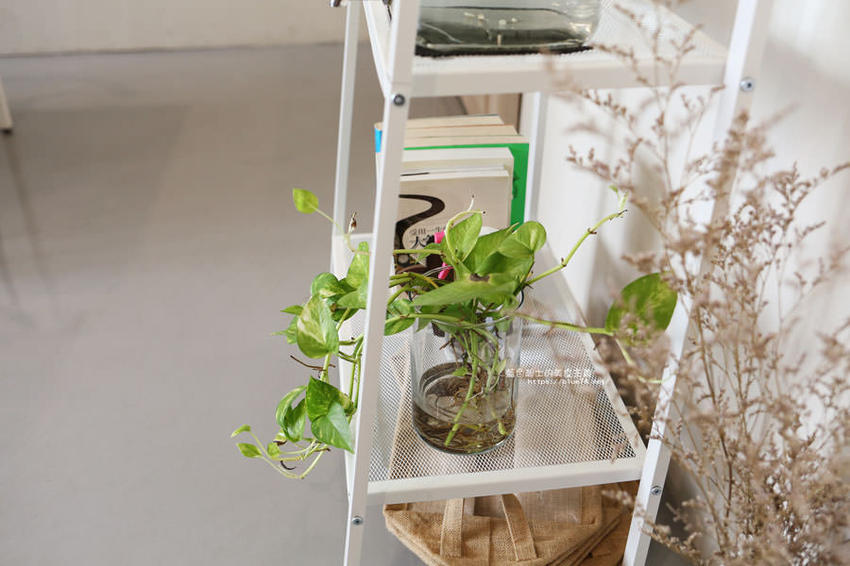 台中大里│在廚房-蔬食的美味,份量足,環境優 - 藍色起士的美食主義