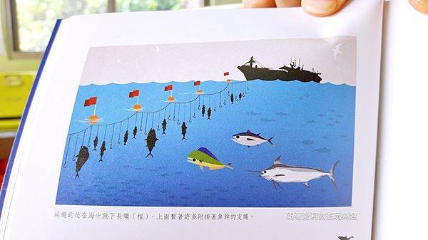 37179080_1870723489615529_410369316085563392_n