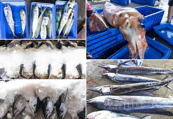 37312032_1874787485875796_2732241297866752000_n