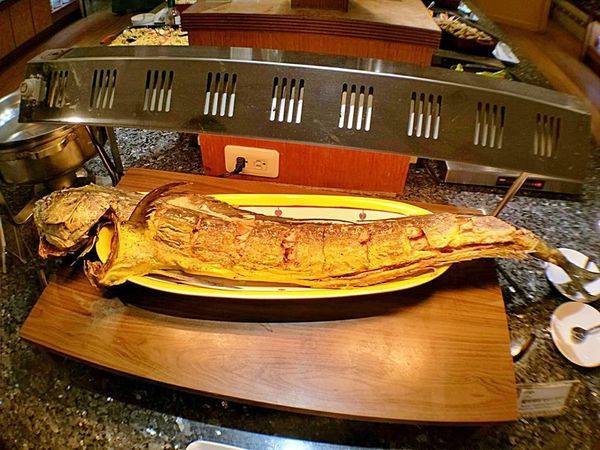 37232333_1870819662939245_8191863566874181632_n