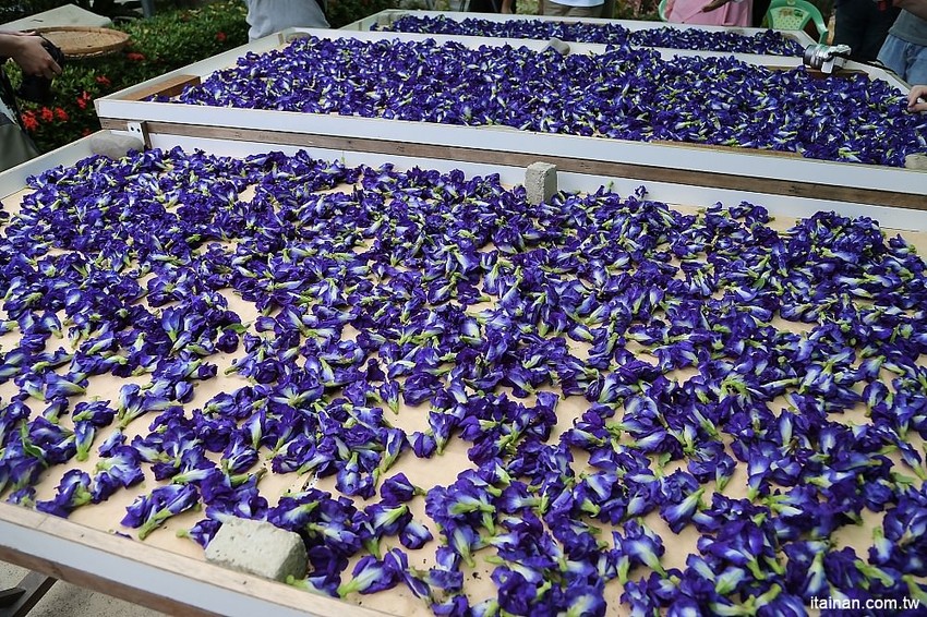 【台南旅遊】崎聚 漫遊龍崎老街x龍崎美食景點x崎聚市集。台南最新打卡私房景點推薦! - 台南好Food遊