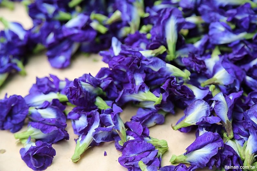 【台南旅遊】崎聚 漫遊龍崎老街x龍崎美食景點x崎聚市集。台南最新打卡私房景點推薦! - 台南好Food遊