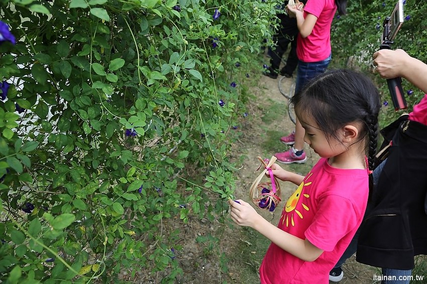 【台南旅遊】崎聚 漫遊龍崎老街x龍崎美食景點x崎聚市集。台南最新打卡私房景點推薦! - 台南好Food遊