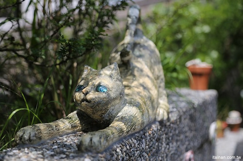 【台南旅遊】崎聚 漫遊龍崎老街x龍崎美食景點x崎聚市集。台南最新打卡私房景點推薦! - 台南好Food遊