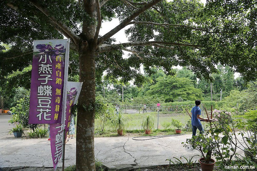 【台南旅遊】崎聚 漫遊龍崎老街x龍崎美食景點x崎聚市集。台南最新打卡私房景點推薦! - 台南好Food遊