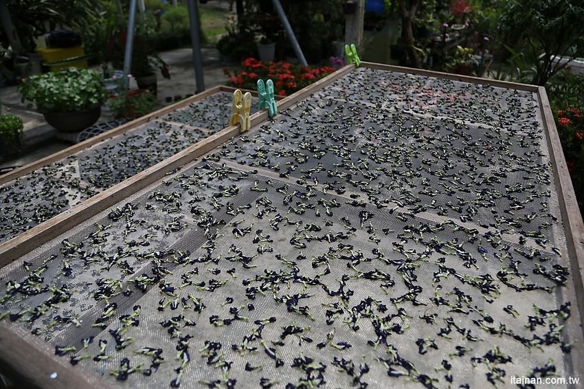 【台南旅遊】崎聚 漫遊龍崎老街x龍崎美食景點x崎聚市集。台南最新打卡私房景點推薦! - 台南好Food遊